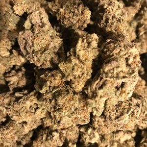 Meet your Posher, Nathan